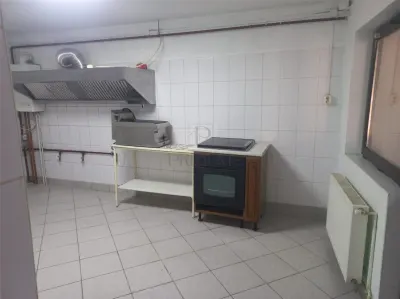 Spațiu comercial Timișoara - poza 2