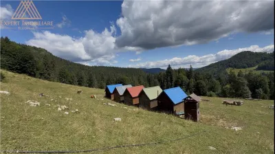 Teren 5ha in Muntii Rarau - Campulung Moldovenesc