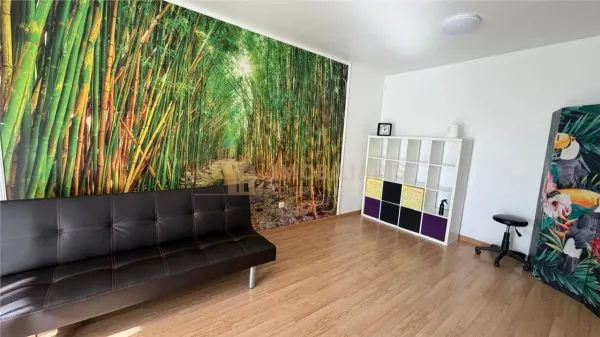 Apartament 2 camere Baia Mare - poza 1