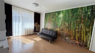 Apartament 2 camere Baia Mare - poza 8