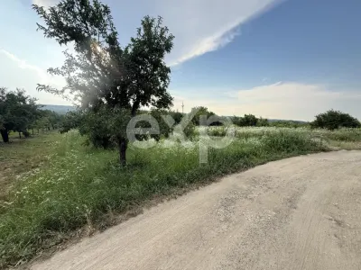 Teren de vânzare în Topoloveni | Zonă liniștită, aproape de oraș - Topoloveni