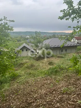 Teren Bascov - poza 4