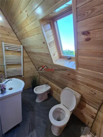 Hotel/Pensiune Valea Ierii - poza 22