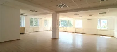 Spațiu comercial Timișoara - poza 6