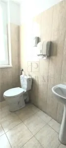 Spațiu comercial Timișoara - poza 9