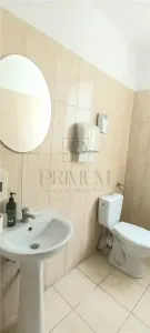 Spațiu comercial Timișoara - poza 10