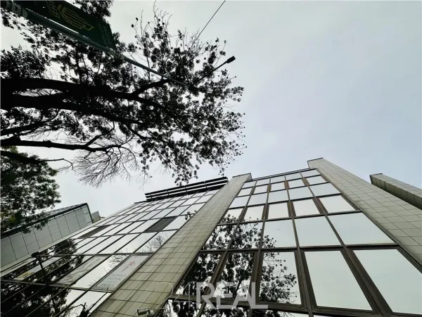 Birou București - poza 17