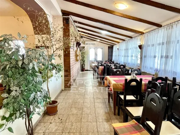 Spațiu comercial Timișoara - poza 2