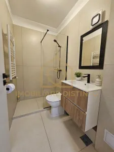 Apartament 1 camera Baia Mare - poza 6