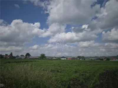Teren Bulai - poza 2