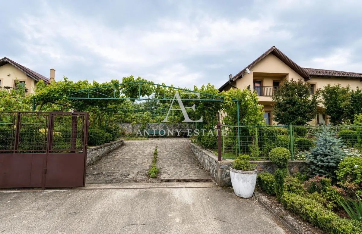 Casă 7 camere Paleu - poza 1