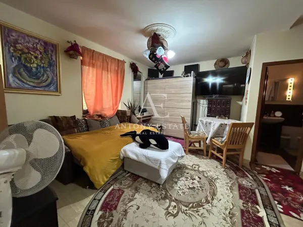 Casă 7 camere Paleu - poza 12