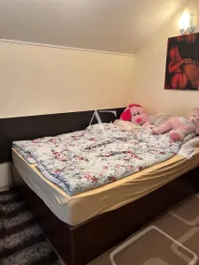 Casă 7 camere Paleu - poza 15