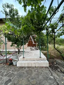 Casă 7 camere Paleu - poza 3