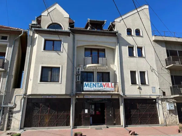 Casă 9 camere Lugoj - poza 2