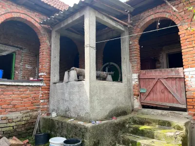 Casă 3 camere Honorici - poza 7