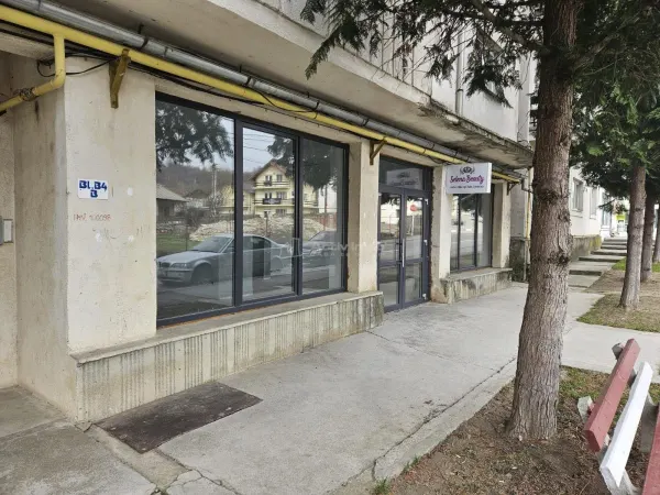 Spațiu comercial Fieni - poza 1