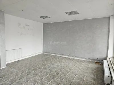 Spațiu comercial Fieni - poza 7