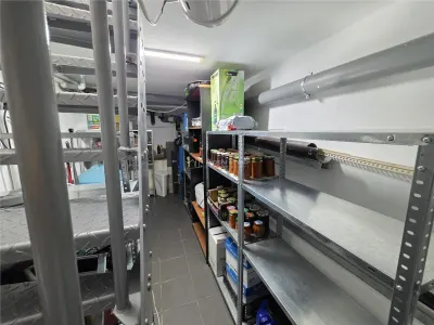 Casă 10 camere Mogoșoaia - poza 10
