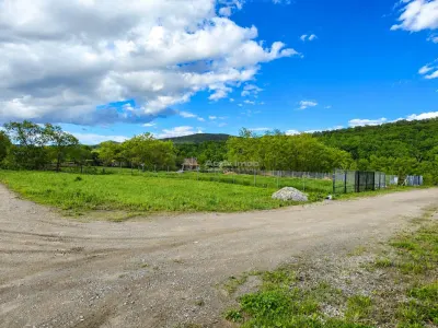 Teren deschidere la 2 strazi langa padure - Talmaciu