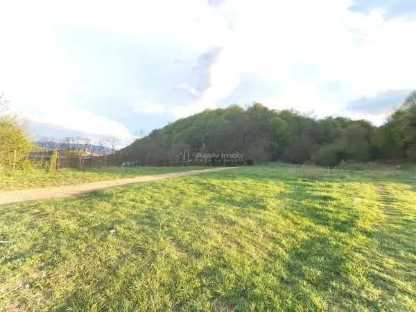 Teren Tălmaciu - poza 3