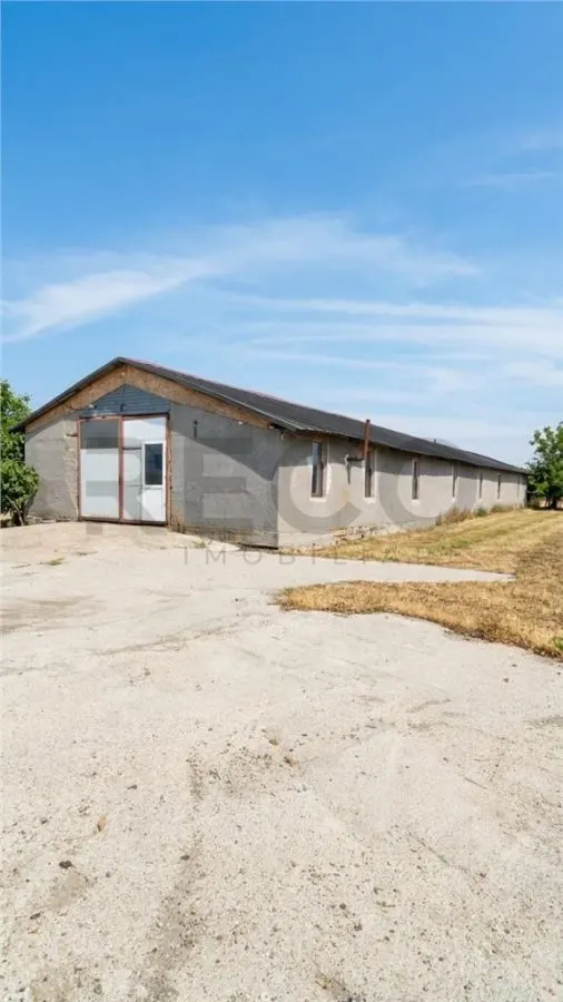 Spațiu industrial Nojorid - poza 1