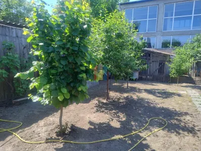 Casă 3 camere Brăila - poza 21