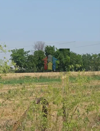 Teren Lacu Sarat - poza 2