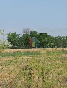 Teren Lacu Sarat - poza 2
