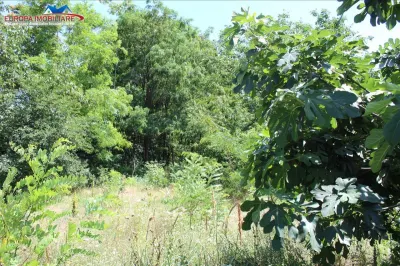 Casă 4 camere Tulcea - poza 5