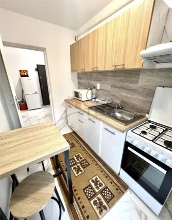 Apartament 1 camera Iași - poza 4