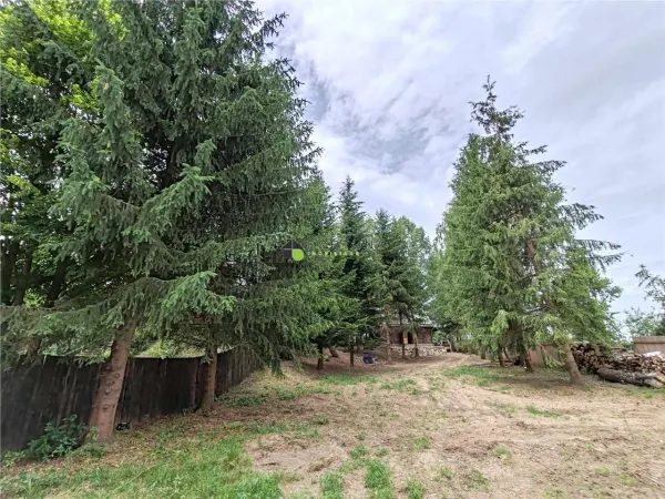 Casă 3 camere Râșnov - poza 4