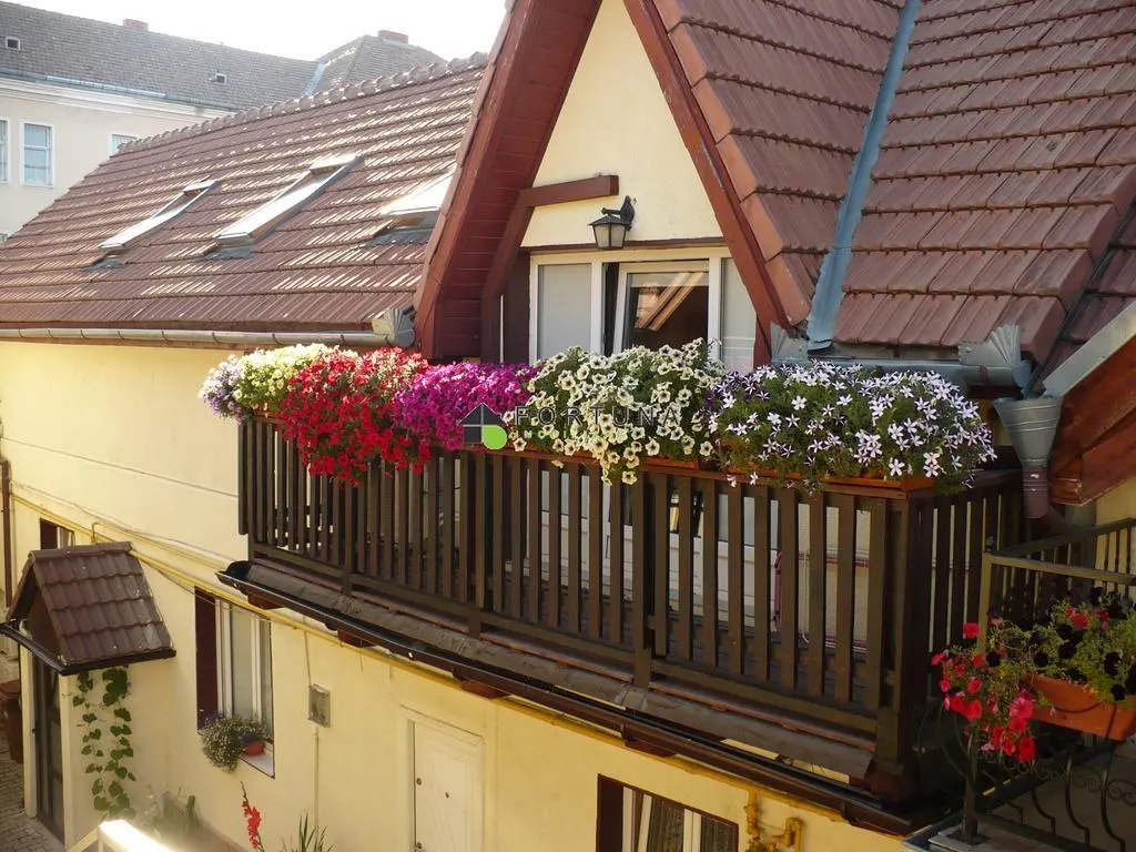 Hotel/Pensiune Brașov - poza 1