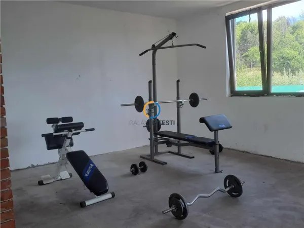 Casă 7 camere Albota - poza 3