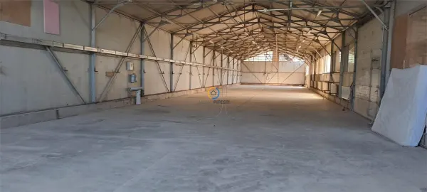 Spațiu industrial Bascov - poza 2