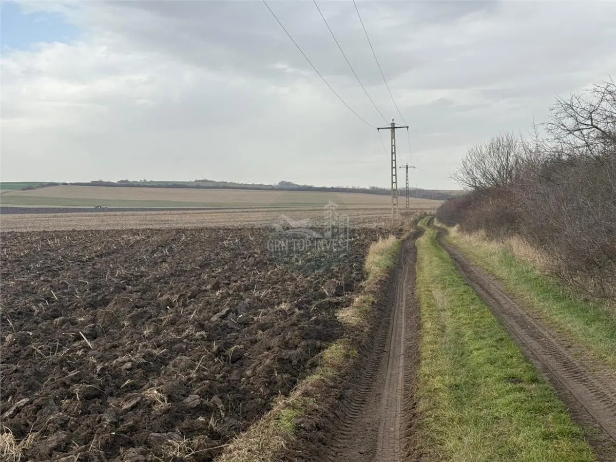 Teren Șura Mică - poza 1