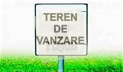 Teren Daia - poza 3