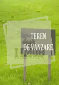 Teren Daia - poza 4