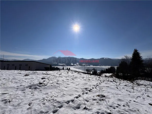 Teren Colibita - poza 1