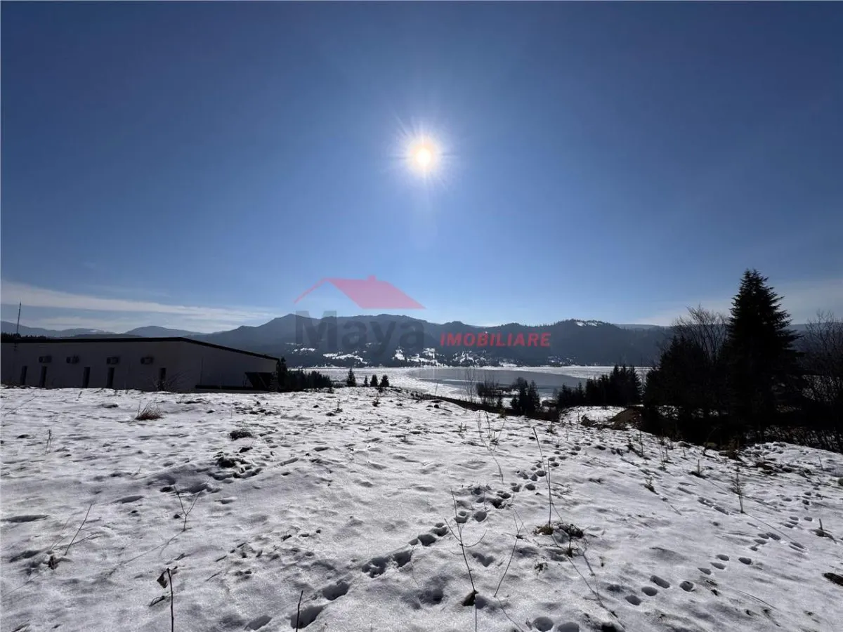 Teren Colibita - poza 1