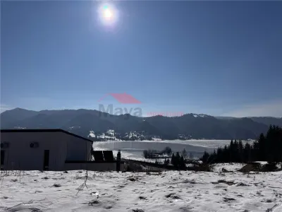 Teren Colibita - poza 3