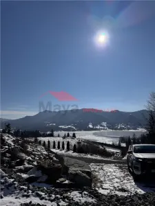 Teren Colibita - poza 5