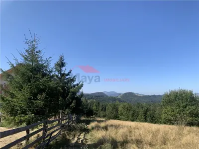 Teren Piatra Fantanele - poza 3