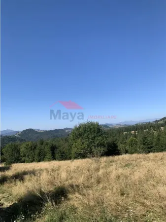 Teren Piatra Fantanele - poza 4