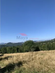 Teren Piatra Fantanele - poza 4
