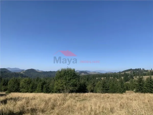 Teren Piatra Fantanele - poza 5