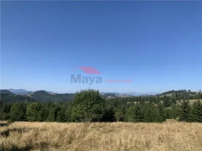 Teren Piatra Fantanele - poza 5