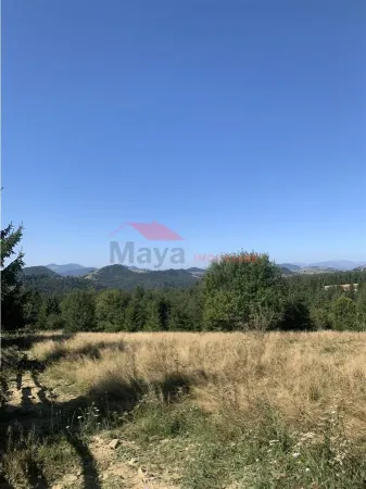 Teren Piatra Fantanele - poza 7