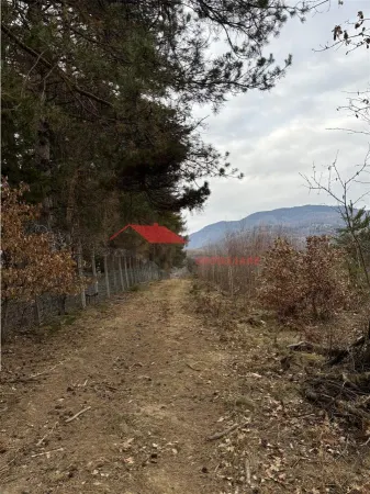 Teren Prundu Bargaului - poza 9