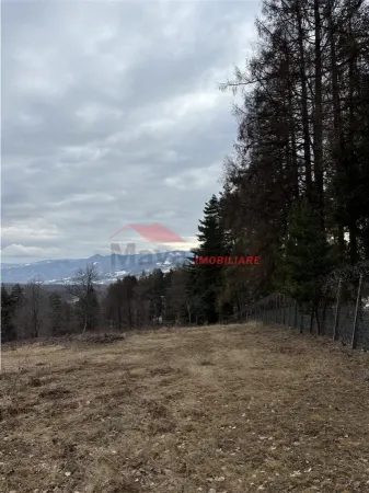 Teren Prundu Bargaului - poza 10